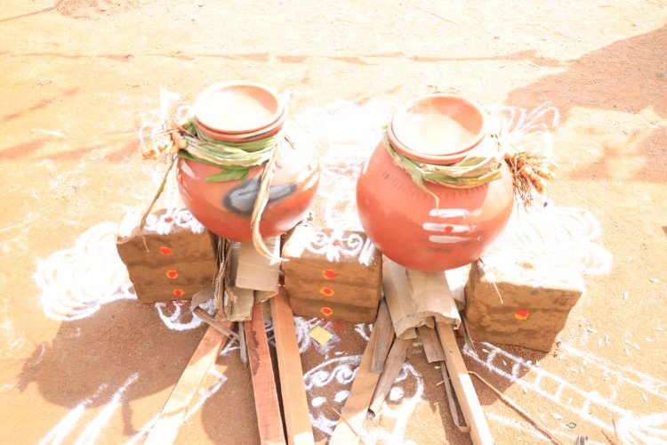 PONGAL CELEBRATION AT SVCET ON 13-1-2023