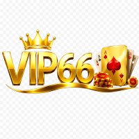 vip66vnnet