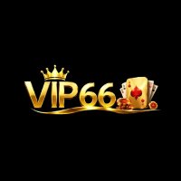 vip66vnnet1