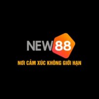 new881info