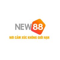 new882info22