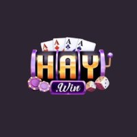 Haywinnis