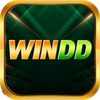 winddcasino