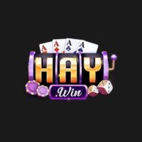 shaywincom