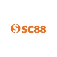 vnsc88net2