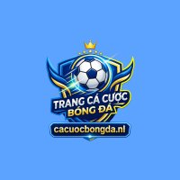 cacuocbongdanl