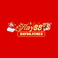 hay88forex
