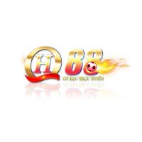 qh88usvn07