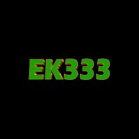 realek333com1