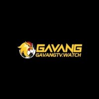    Gavang   tv 