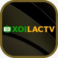 Xoilactvlivenet