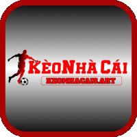Keonhacai8art1