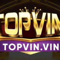 topvinvin