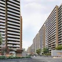 prestigeevergreen