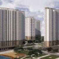 assetzcodenamemicropolis