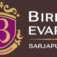 birlaevara6908
