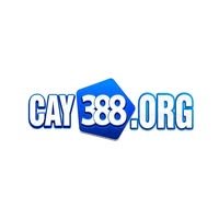 cay388org