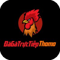 dagatructiepthomotoday