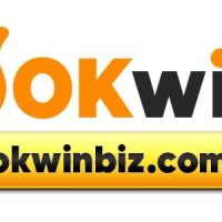 okwinbizcom