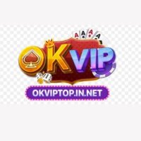 okviptopinnet
