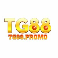 tg88promo