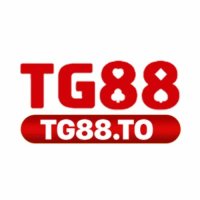 tg88to