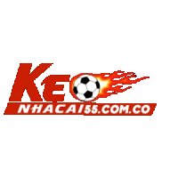 haquoctrungkeonhacai5