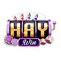 HAYWIN 
