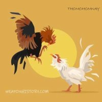 thomohomnayzacht