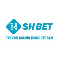 shbethicom