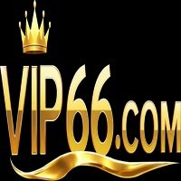 vip66training