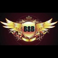 b8b1org1