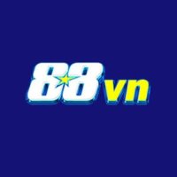 88vn1org8