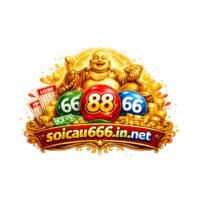 soicau666innet