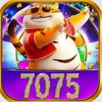 7075blog
