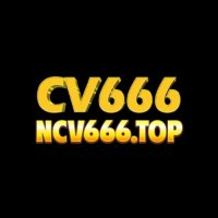 ncv666top