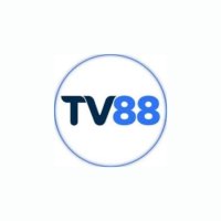 tv88makeup