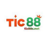 tic88snet1
