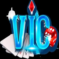 vichair
