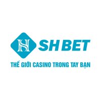 shbethicom2