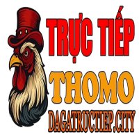 dagatructiepcity