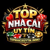 topnhacaiuytinimmo
