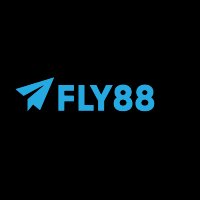 fly888snet