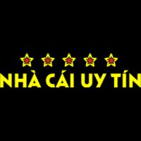 Nhacaiuytinnenet1