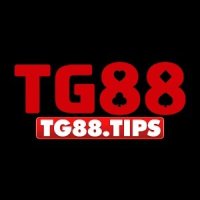 tg88tips1