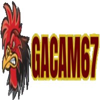 gacam67snet11