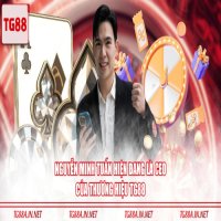 tg88nguyenminhtuan